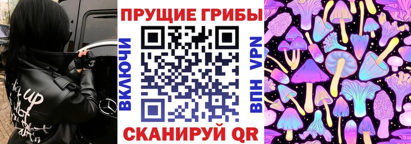 Псилоцибиновые грибы Psilocybine cubensis  Грязи 