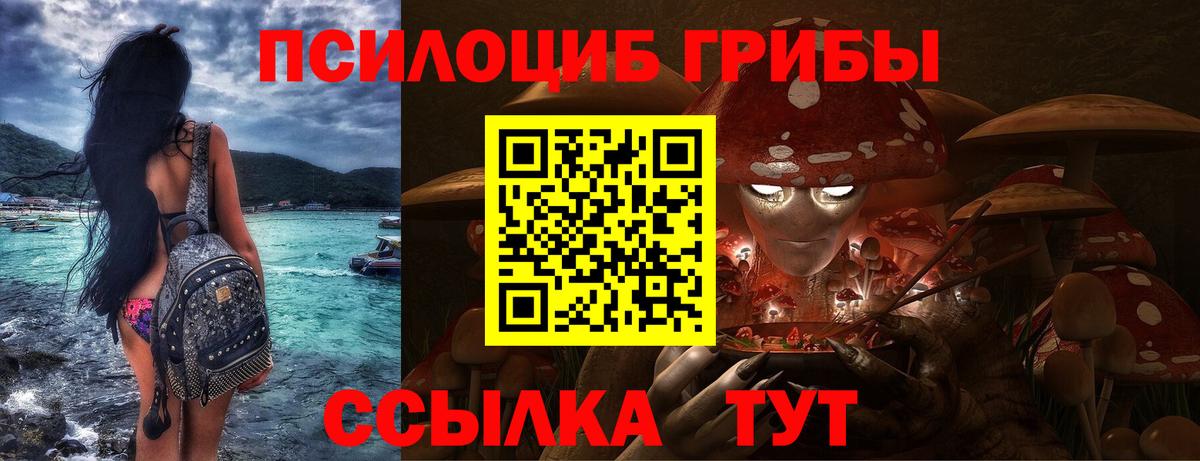 Псилоцибиновые грибы Cubensis  Галлюциногенные грибы Magic Shrooms  Грязи 
