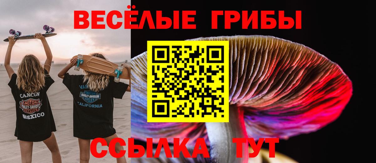 Грязи  Псилоцибиновые грибы Psilocybe  Вход с VPN 