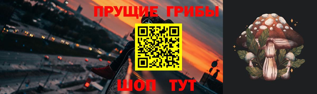 Псилоцибиновые грибы мицелий Грязи