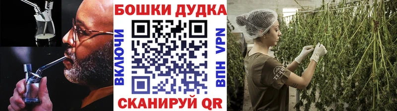 Шишки марихуана сатива  Грязи 